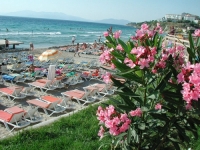 Popular beaches of Aydin Province.