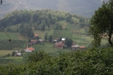 Ordu Plateau