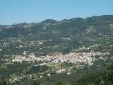 Ordu Panoramic